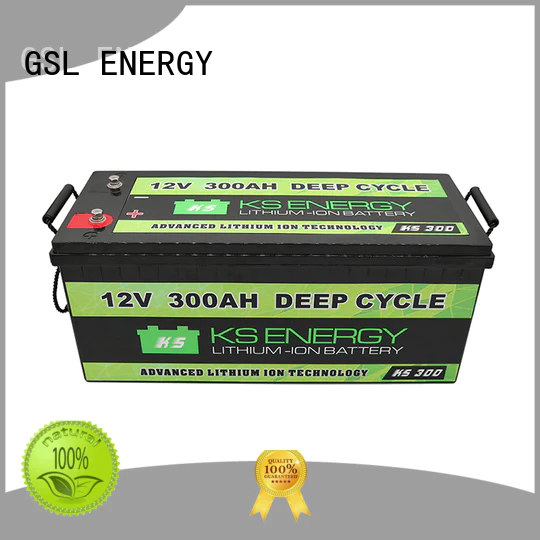 rechargeable lifepo4 battery 12v 100ah free sample for camping