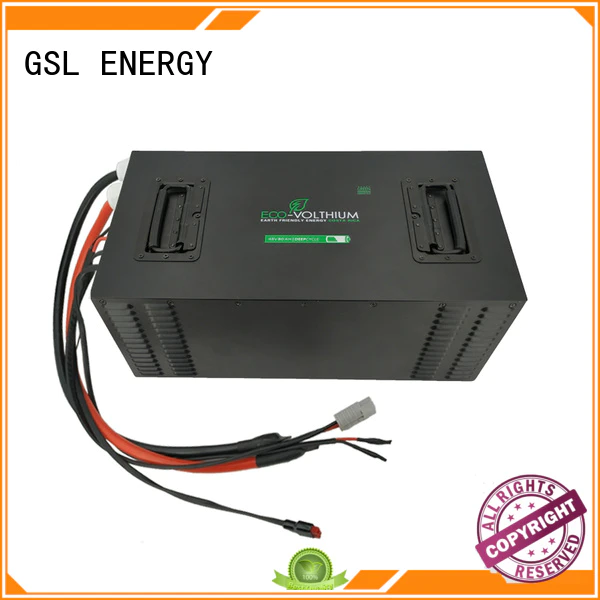 professional golf cart battery charger manufacturer for home