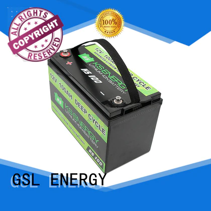 GSL ENERGY deep cycle lifepo4 battery charger for car