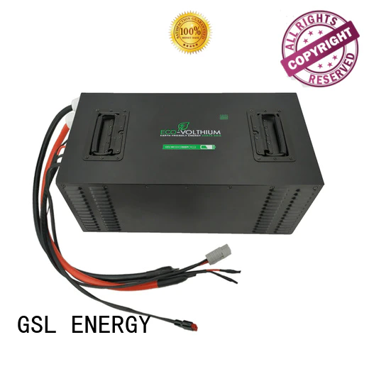 professional golf cart battery charger industry for home