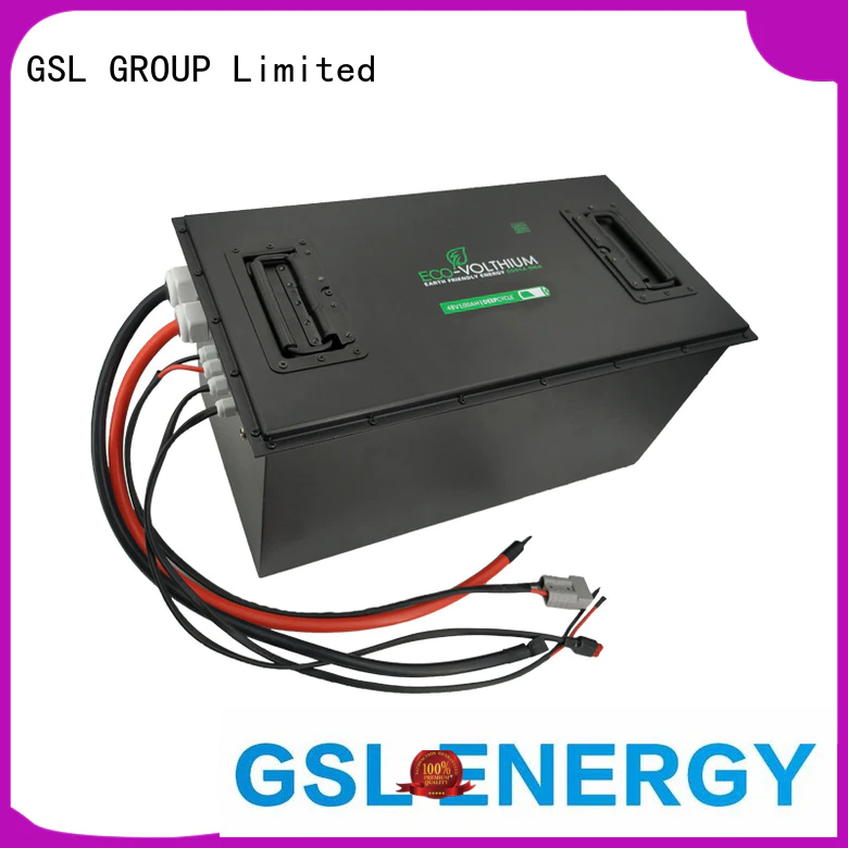 professional golf cart battery charger for car