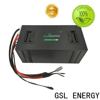oem & odm golf cart battery charger powerful top-performance