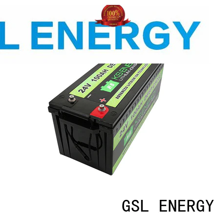 customized 24v lifepo4 battery bulk supply