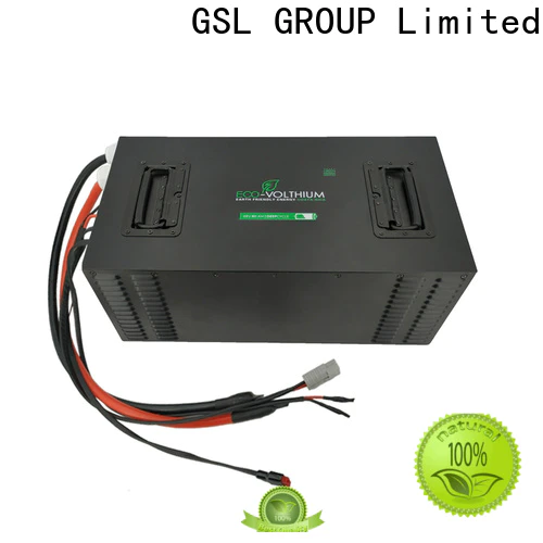 GSL ENERGY golf cart battery charger powerful factory