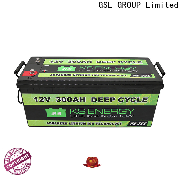 quality-assured lifepo4 battery 100ah free maintainence wide application