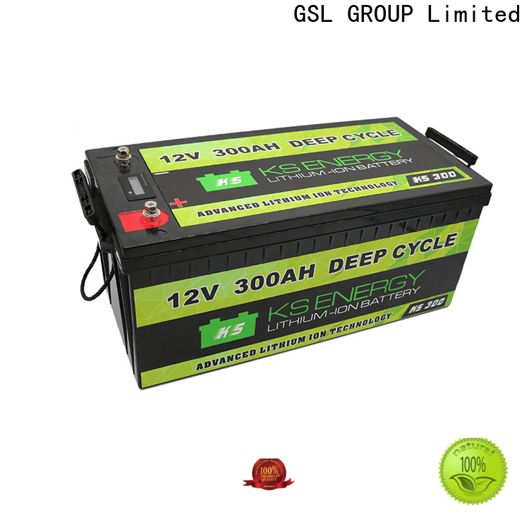2020 hot-sale lifepo4 battery 12v short time high performance