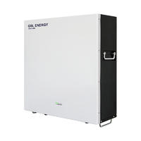 2020 Light Operated 48V 50Ah 2.4Kwh Solar Lithium Pack Tesla Battery Power Storage Wall